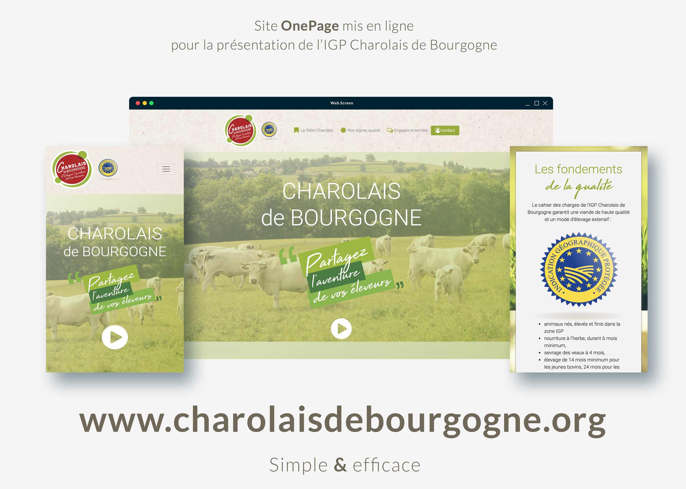 site one page de présentation de l'IPG Charolais de Bourgogne