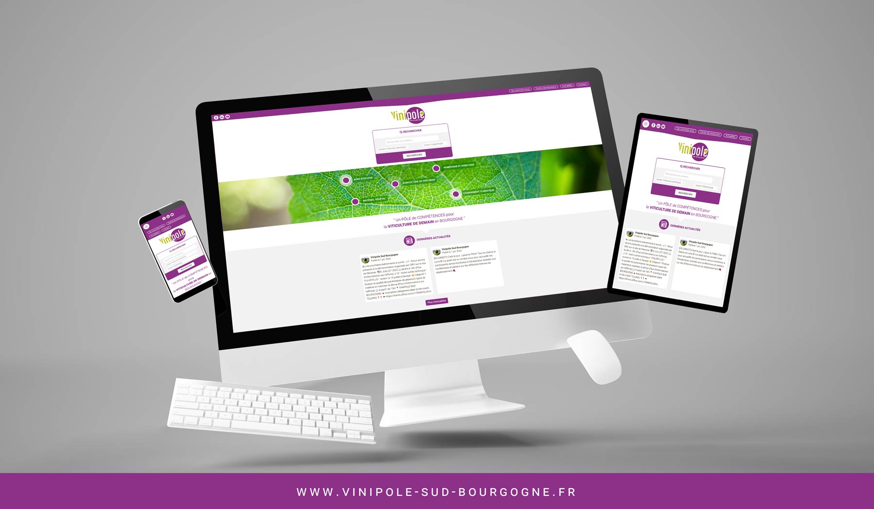 Mockup du site internet de Vinipole Sud Bourgogne