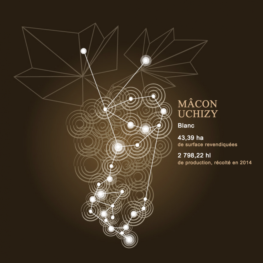 Constellation des vins Mâcon 