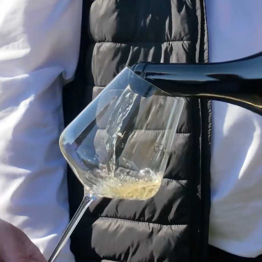 ORFEVRES DU VIN - L’impact des vidéos teasing avant lancement